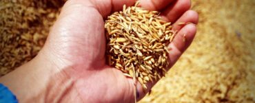 how to start a farm with no money