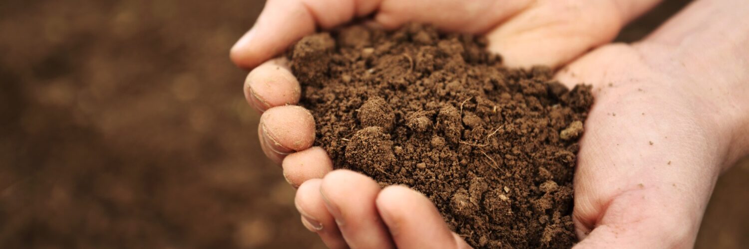 contaminated soil remediation