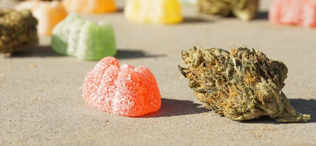 hybrid edible gummies