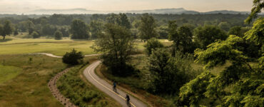 Bintastic Harrisonburg