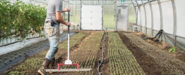 Carolina GripReaperSon