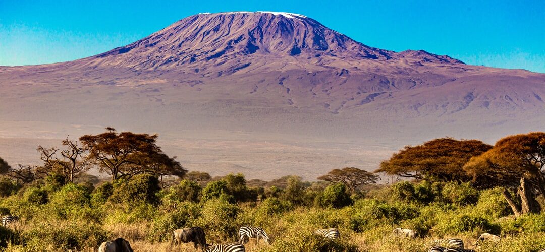 Kilimanjaro meaning