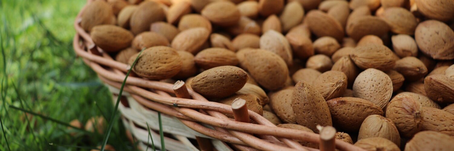 different types of almonds