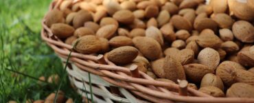 different types of almonds