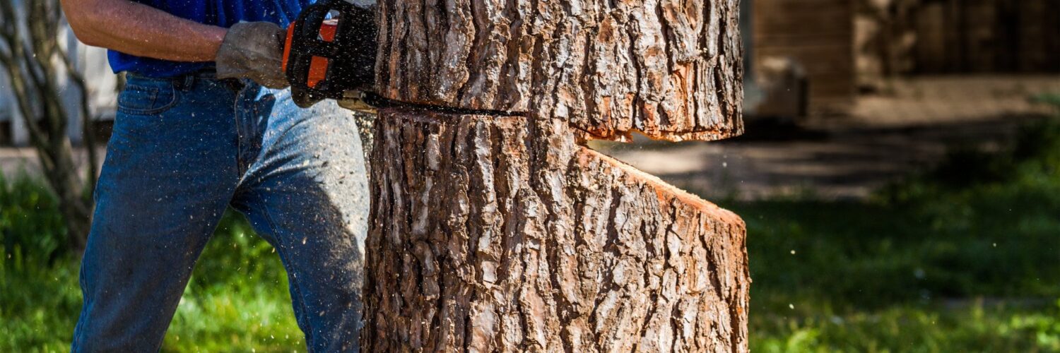 emergency tree removal