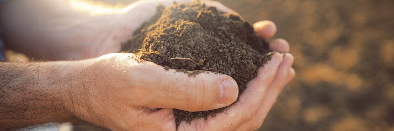 soil lawn