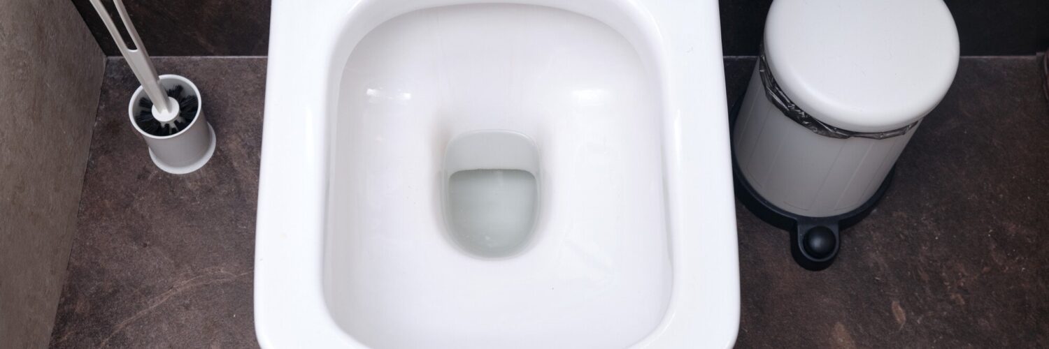 toilet repair service