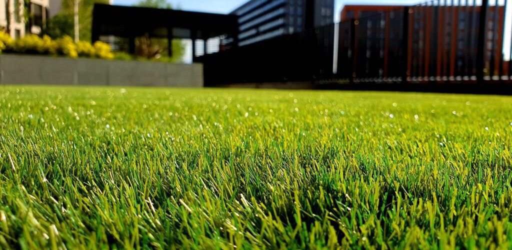 expert lawn care