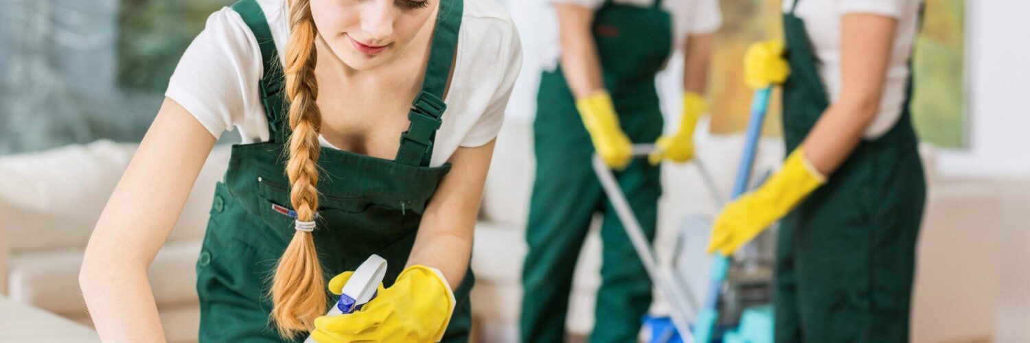 residential and commercial cleaning