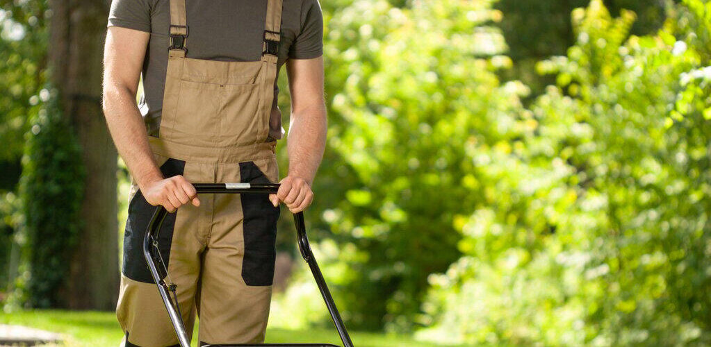 residential lawn maintenance