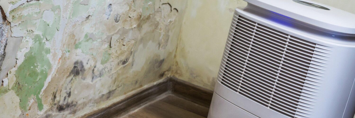 small room dehumidifier