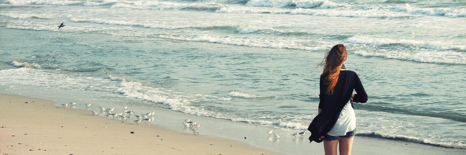 things to do in holmes beach