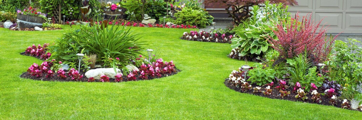 curb appeal landscape