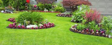 curb appeal landscape