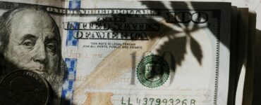 how to start a cannabis business with no money