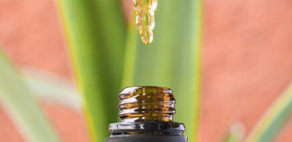 water soluble cbd oil