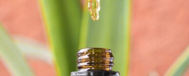 water soluble cbd oil
